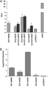 FIGURE 7.