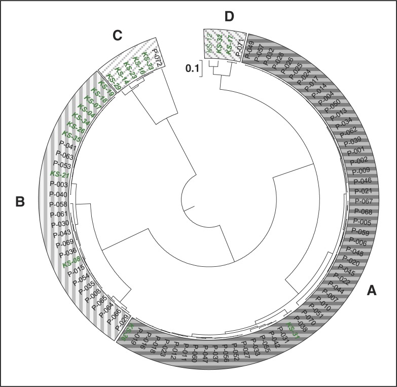 Fig. 4