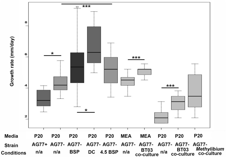 FIGURE 3