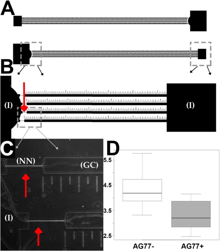 FIGURE 4