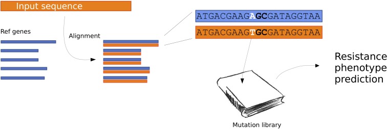 FIGURE 1