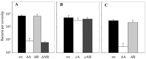 FIG. 5.