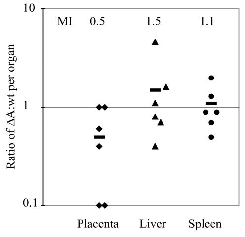 FIG. 7.