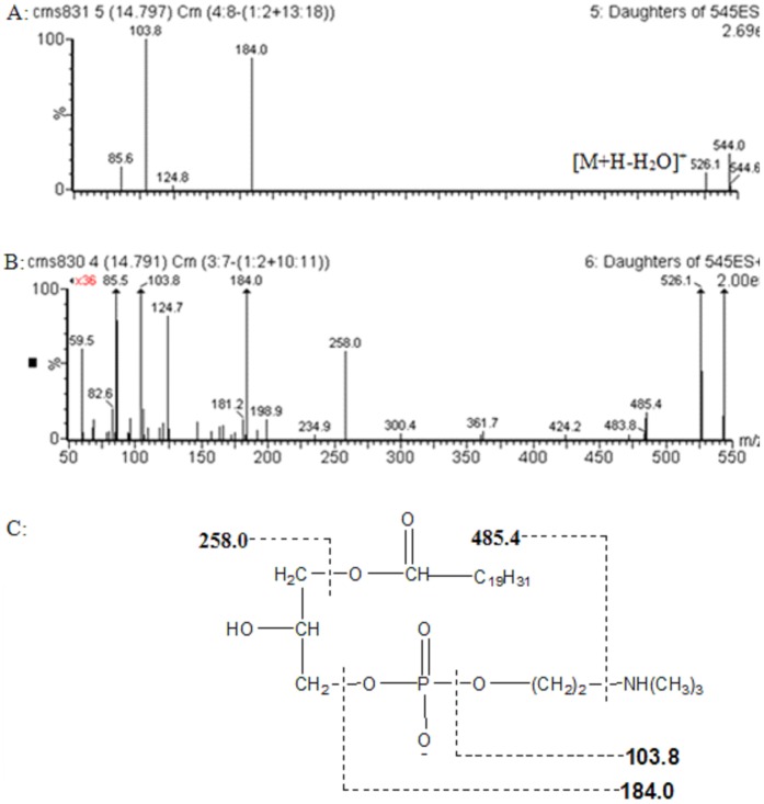 Figure 11