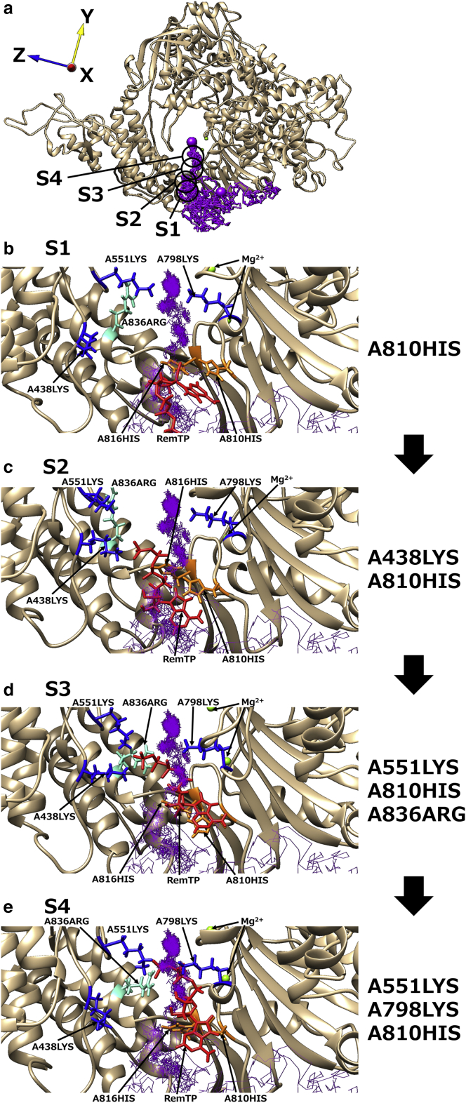 Figure 7