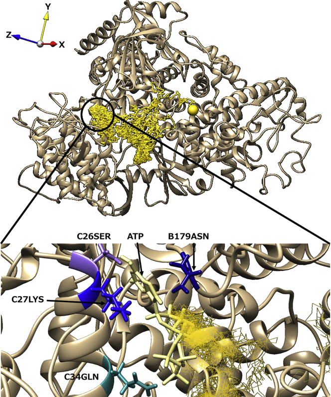 Figure 9