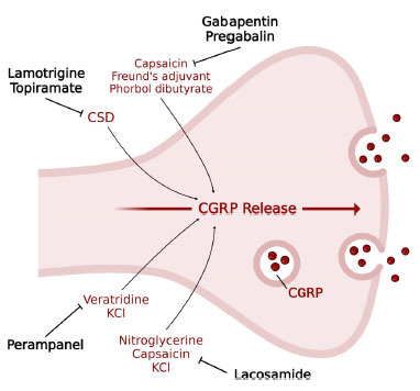 Fig. (2)