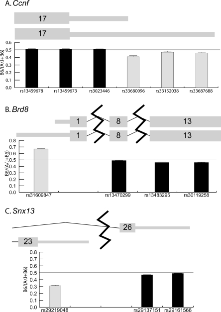 Figure 5.