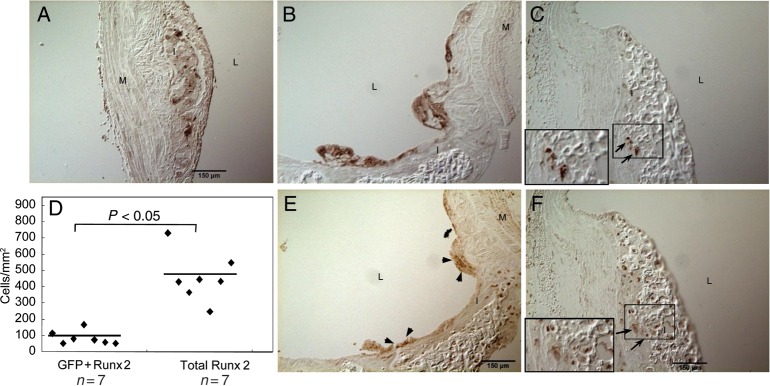 Figure 6