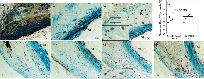 Figure 5