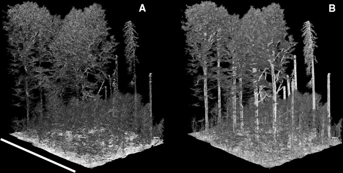 Fig. 7