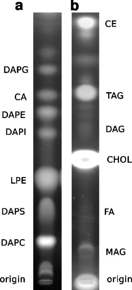 Fig. 6