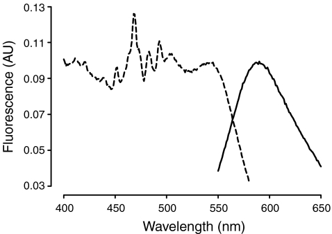 Fig. 4