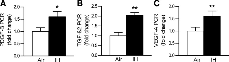 Fig. 8.