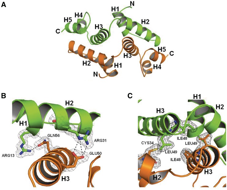 Figure 1.