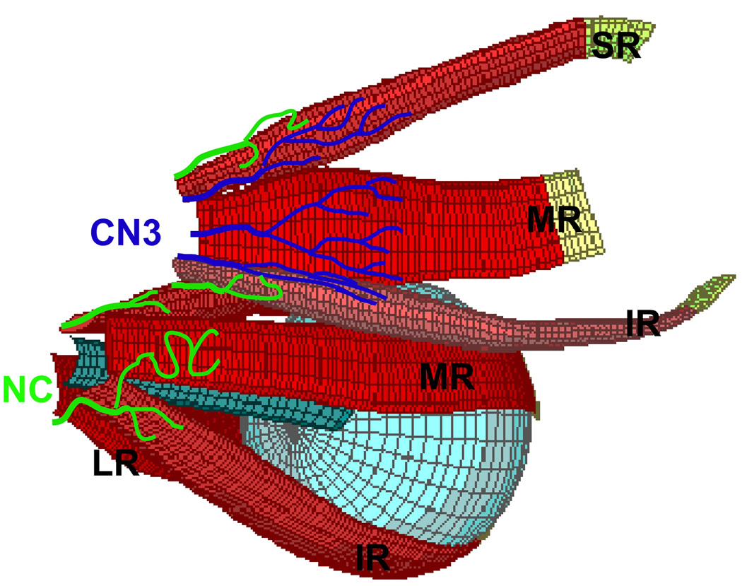 Fig. 8