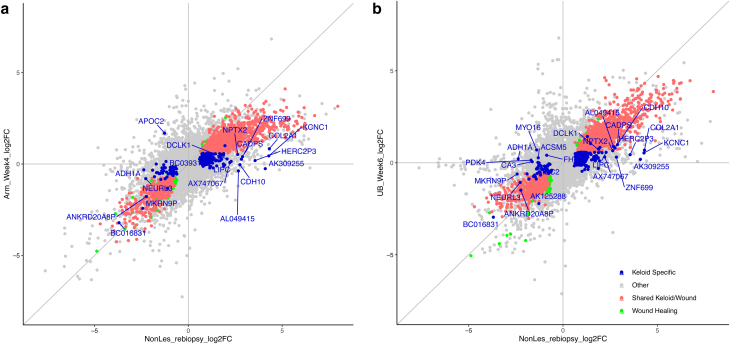 Figure 10