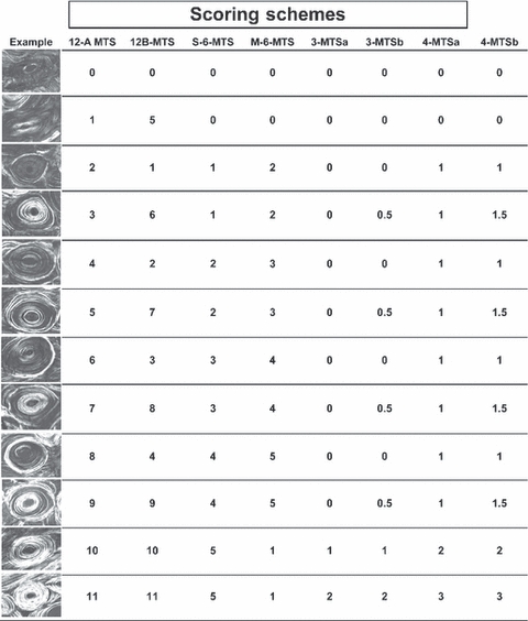 Fig. 5