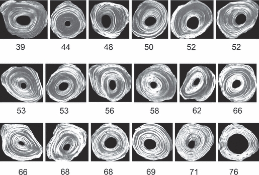 Fig. 12