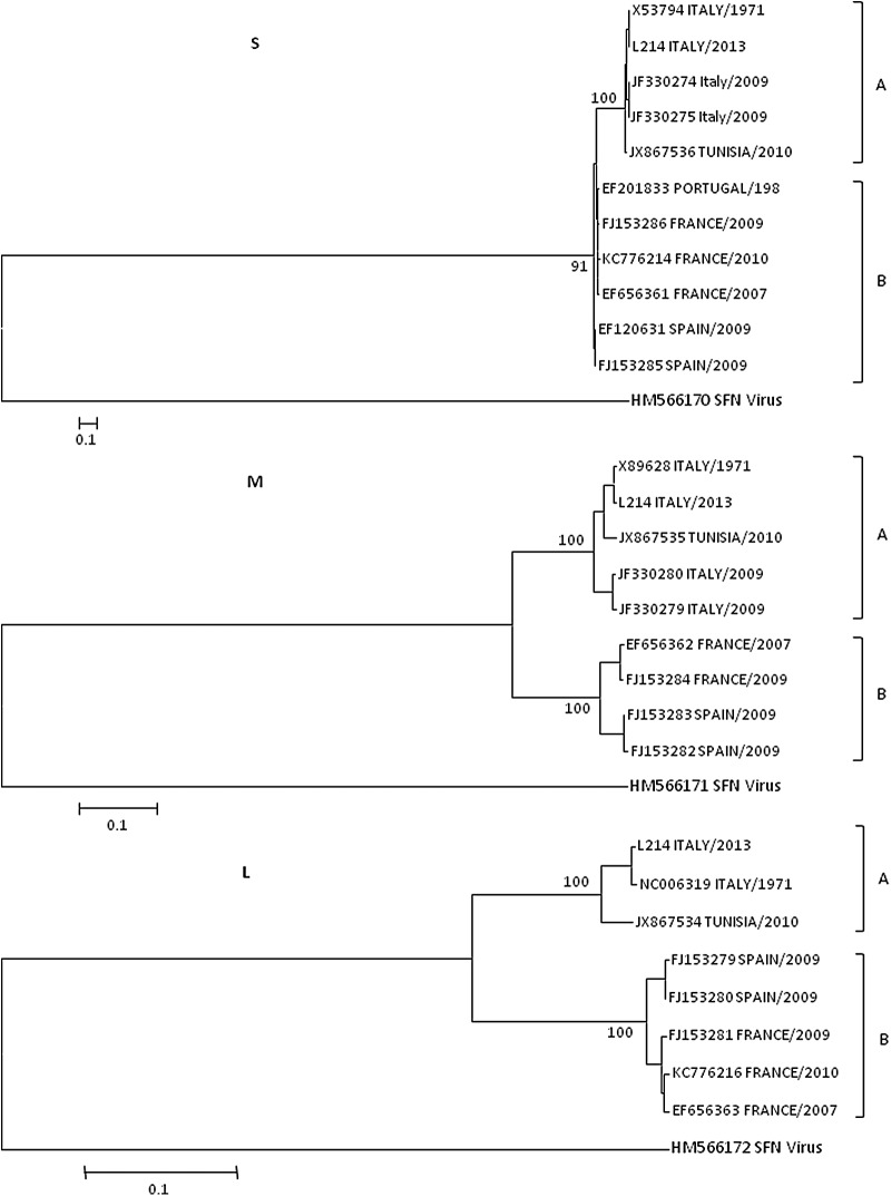 FIG. 1.