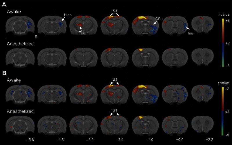 Fig. 6.