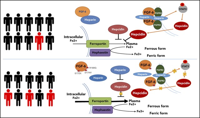 graphic file with name blood879585absf1.jpg