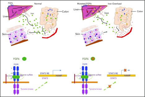 Figure 6.