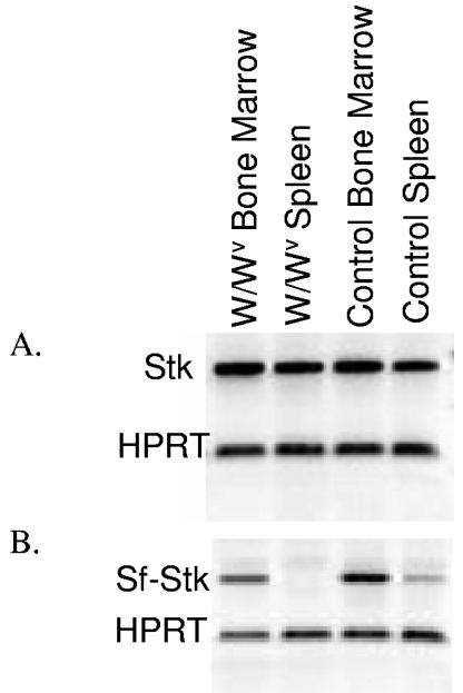 FIG. 7.