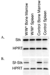 FIG. 7.