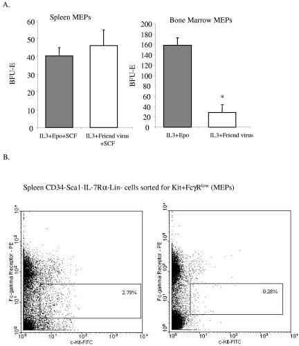 FIG. 8.