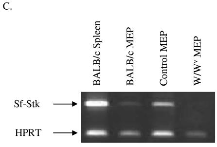 FIG. 8.