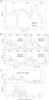 Figure  2