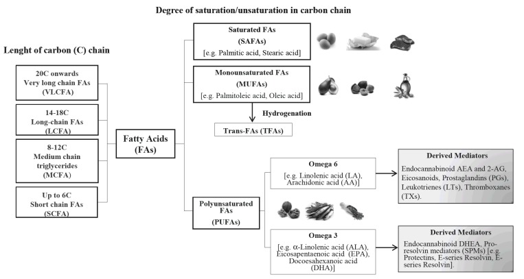 Fig. (1)