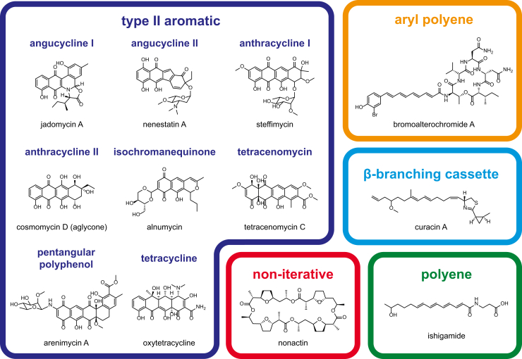 Figure 5