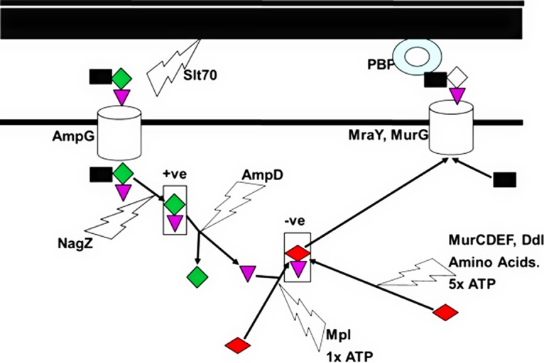 FIG 1