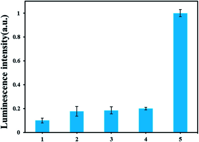 Fig. 4