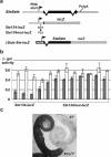 FIG. 5.