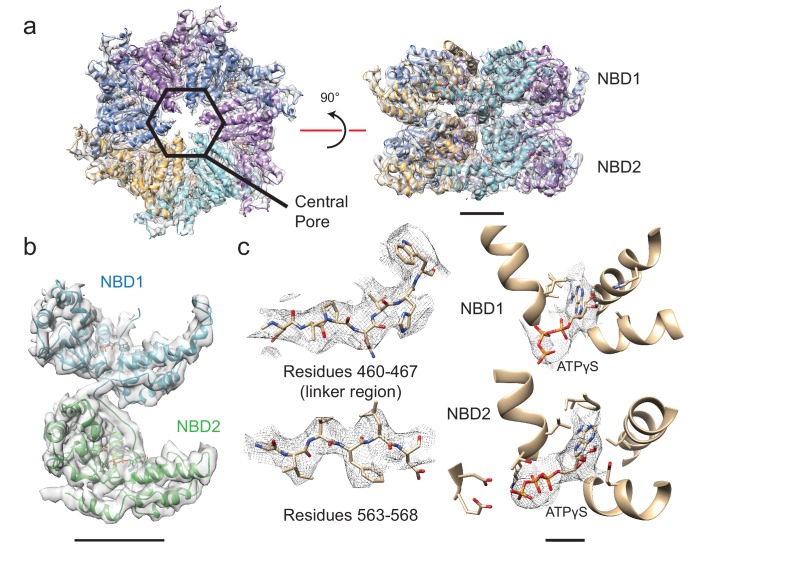 Figure 2.