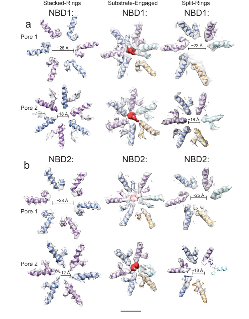 Figure 2—figure supplement 2.