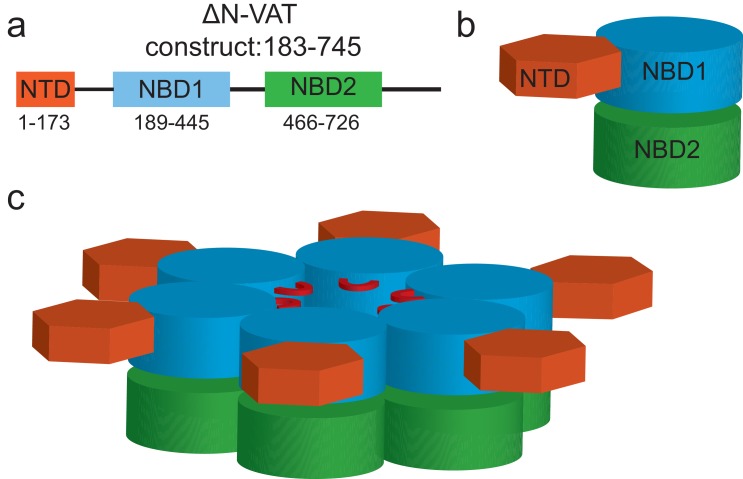 Figure 1—figure supplement 1.