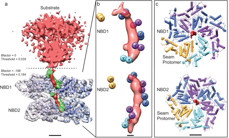 Figure 3.