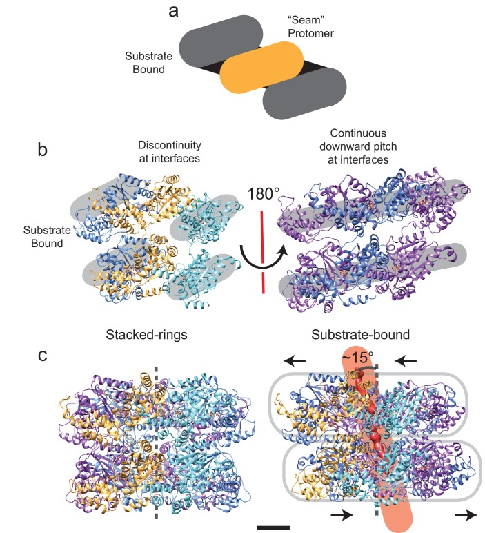 Figure 3—figure supplement 2.