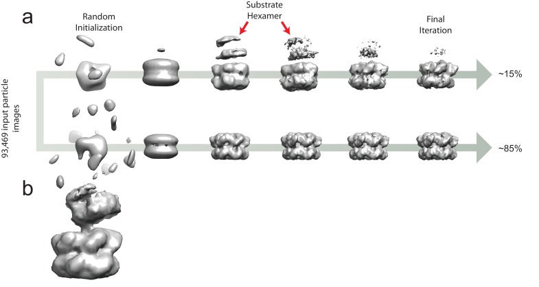 Figure 3—figure supplement 1.