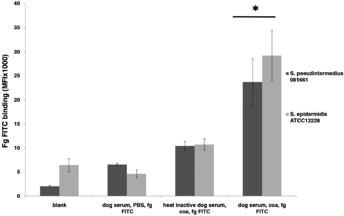 FIG 6