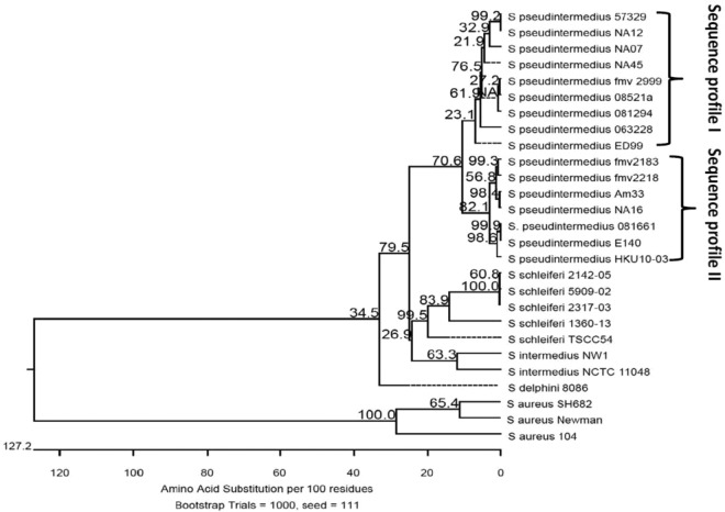 FIG 1