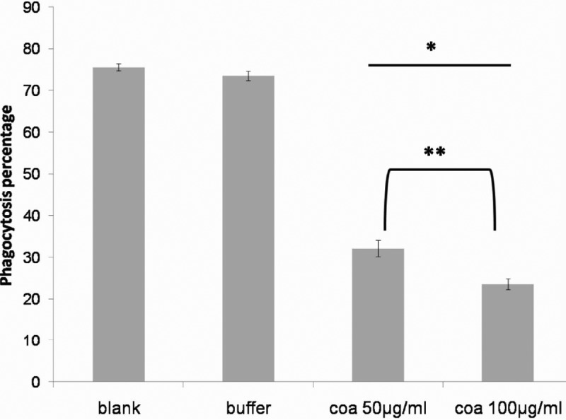 FIG 7