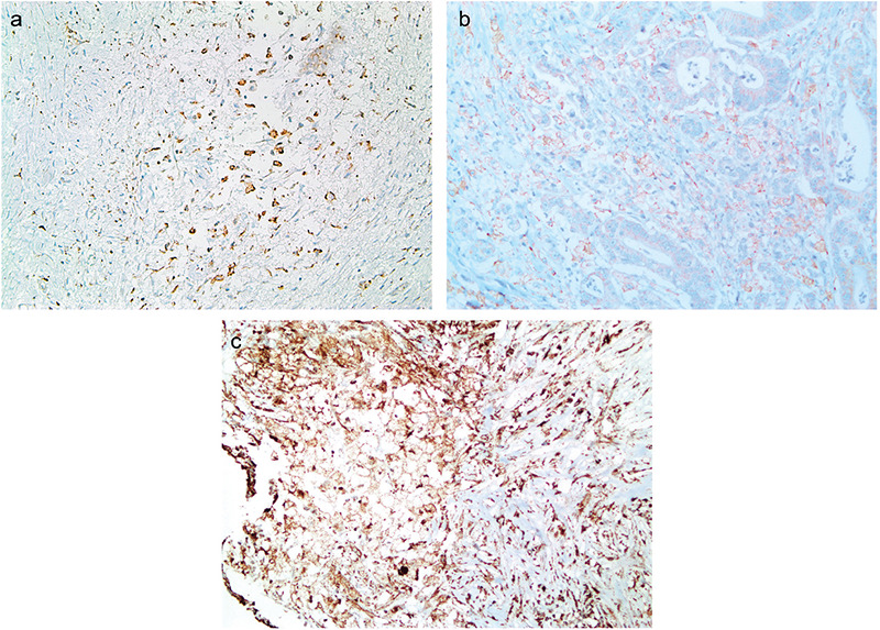 Figure 2a-c