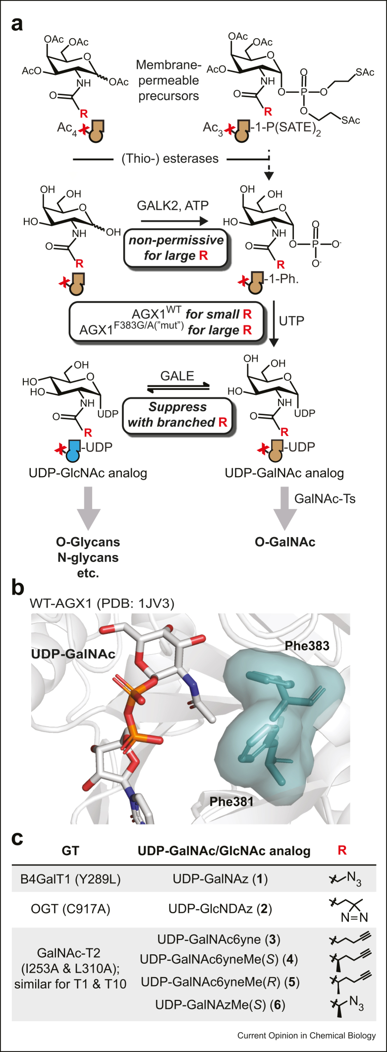 Figure 2