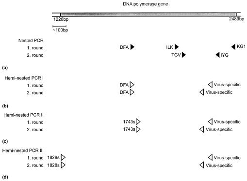 FIG. 1.