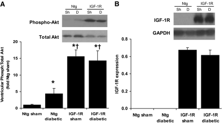 FIG. 5.